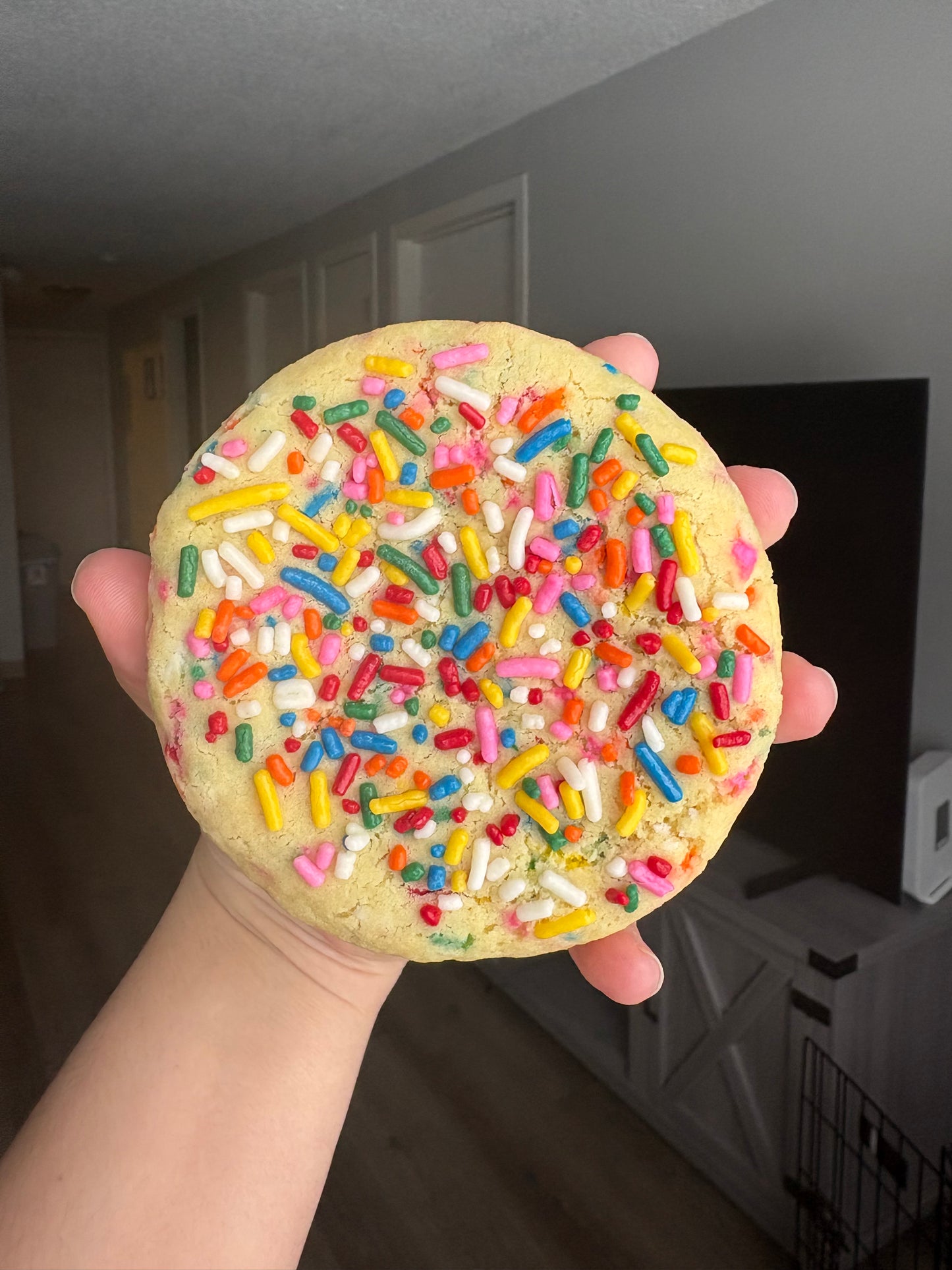 Birthday Cake Cookie